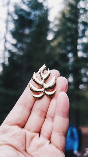 Hemleva pins
