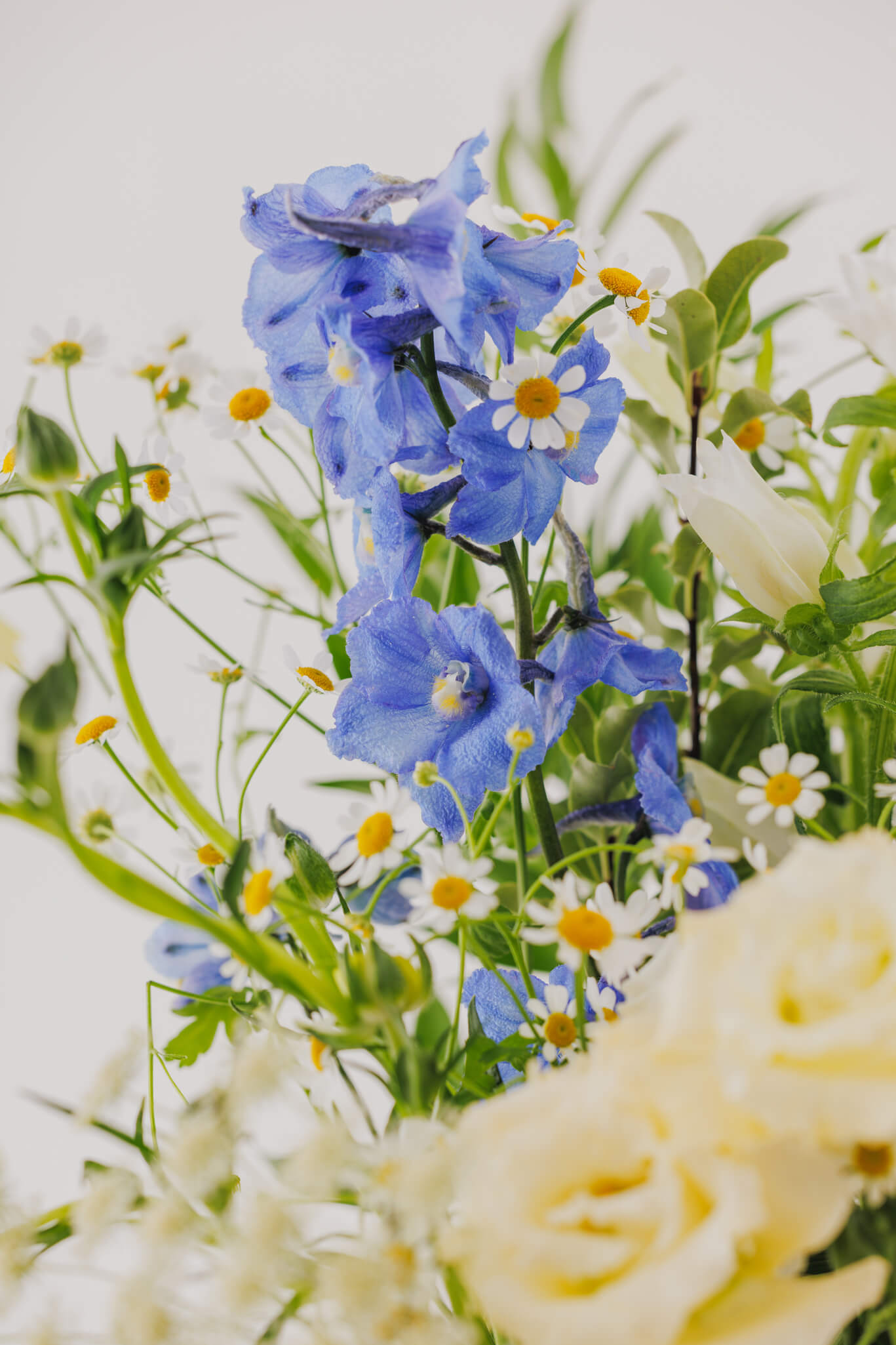 Bouquet of blue and white flowers with green leaves on a light background