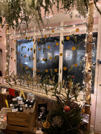 Christmas Wreath Workshops 2026